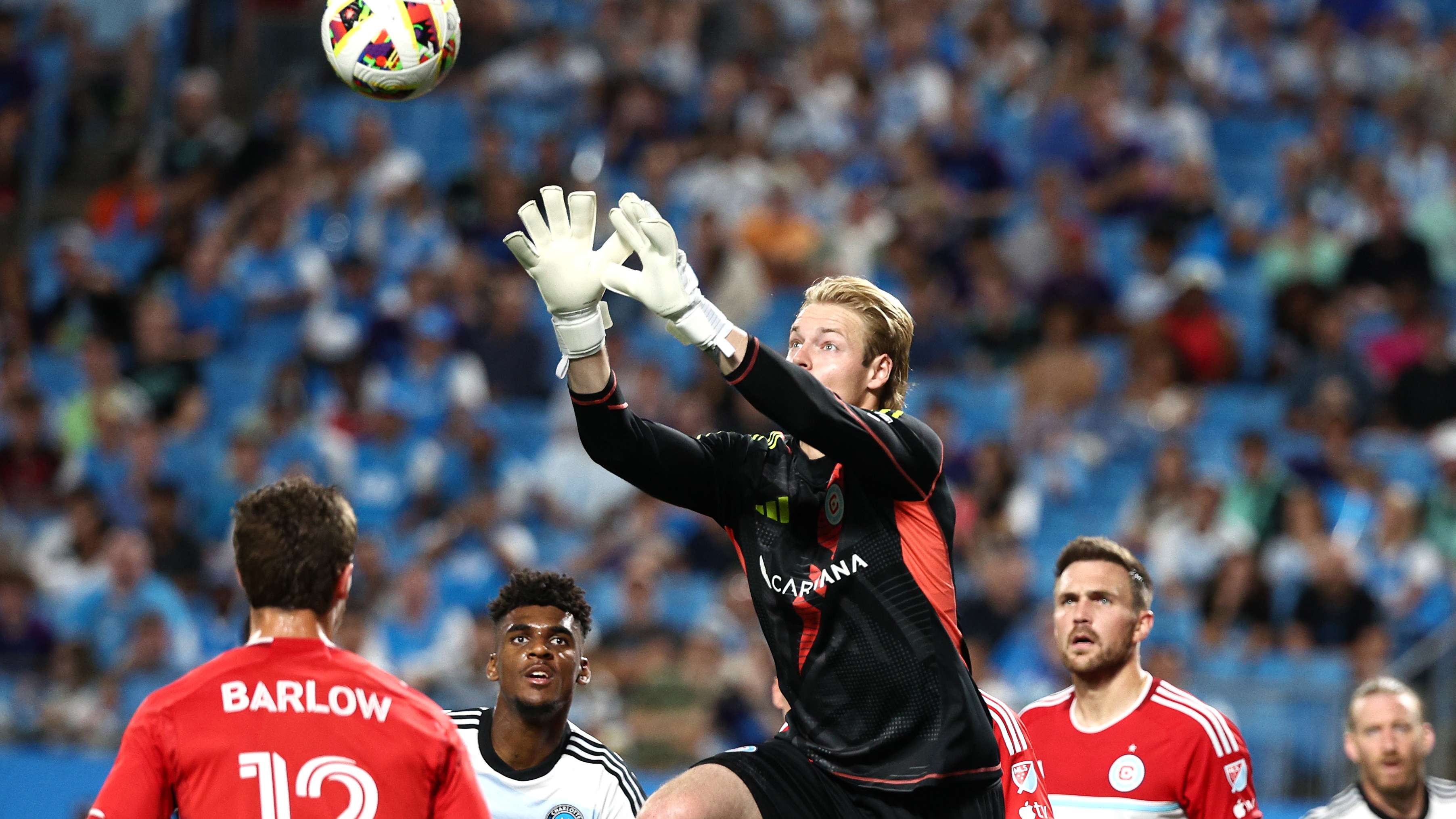 的大心脏表 的大心脏表