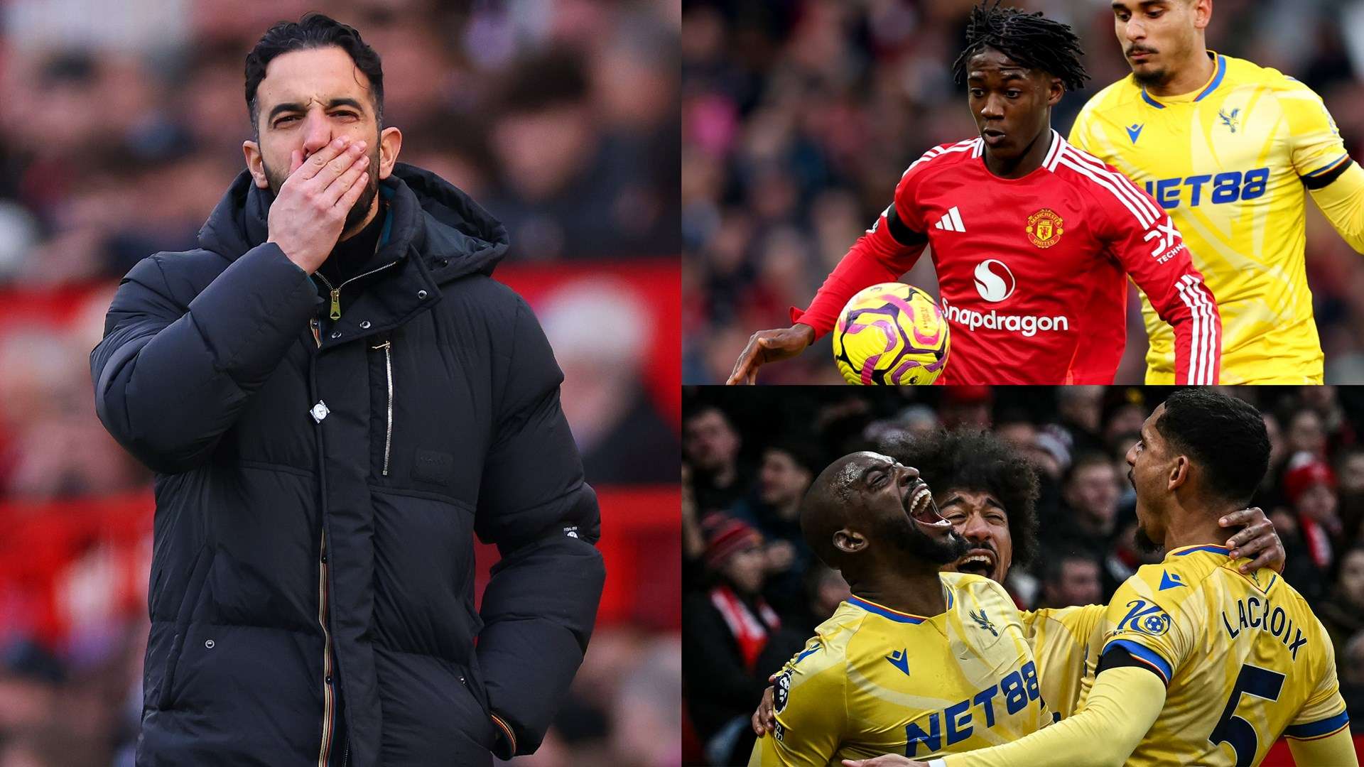 度捧得世界 度捧得世界